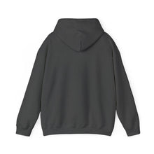 Load image into Gallery viewer, Jacob's Well Original Hoodie
