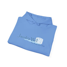 Load image into Gallery viewer, Jacob's Well Original Hoodie
