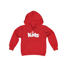 Load image into Gallery viewer, JW Kids Youth Hoodie
